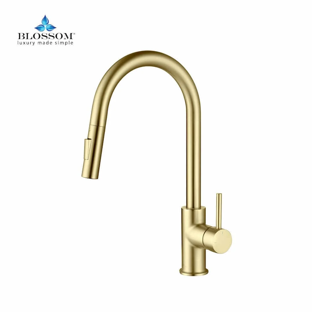 Blossom Single Handle Pull Down Kitchen Faucet – F01 206 - Image 46