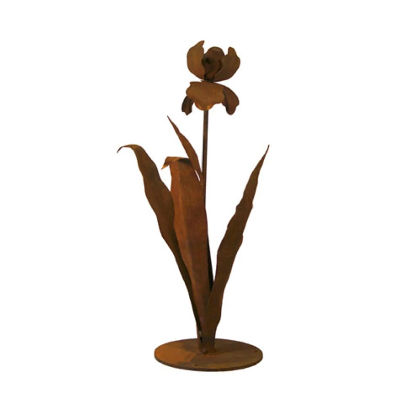 Patina Products Small Iris S671