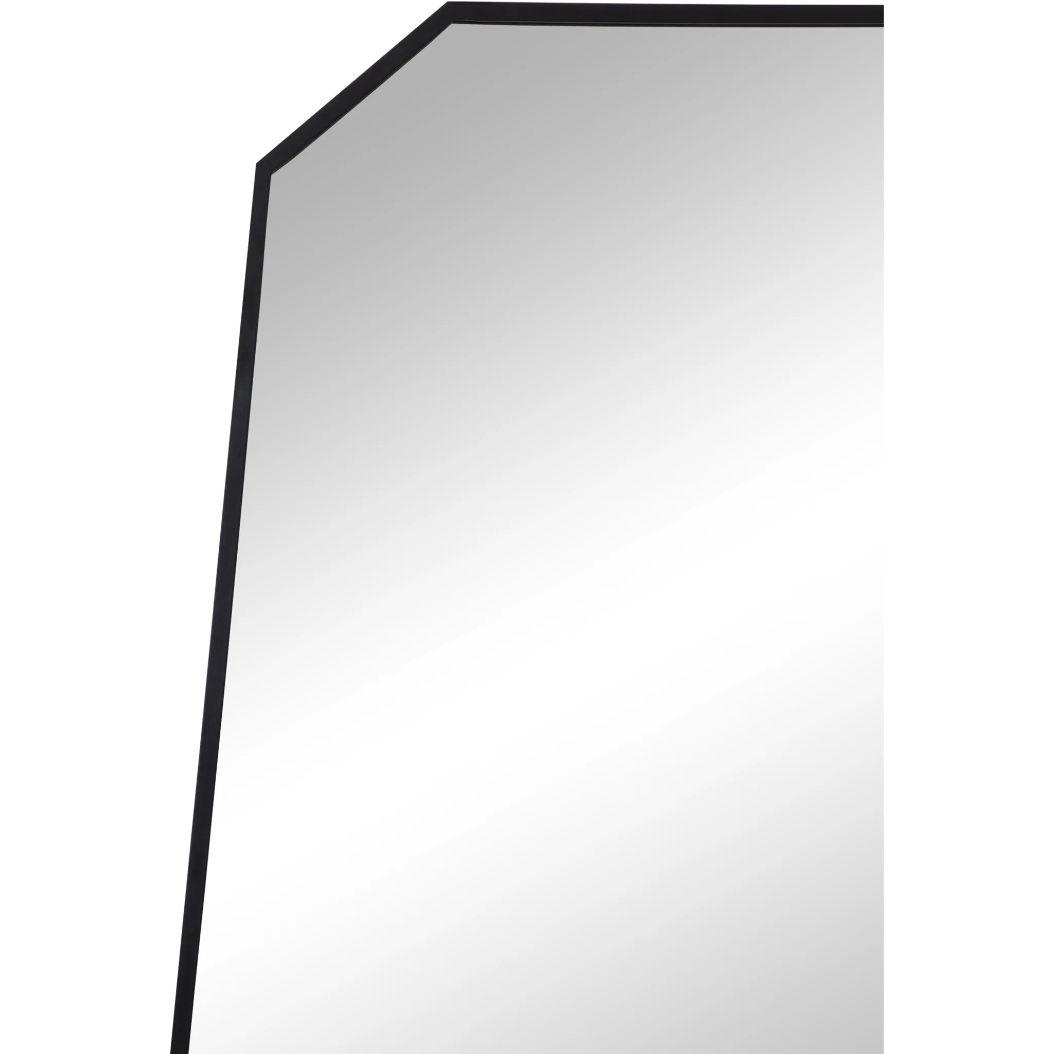 RenWil Pablo Irregular Mirror NDD221M040 - Image 4